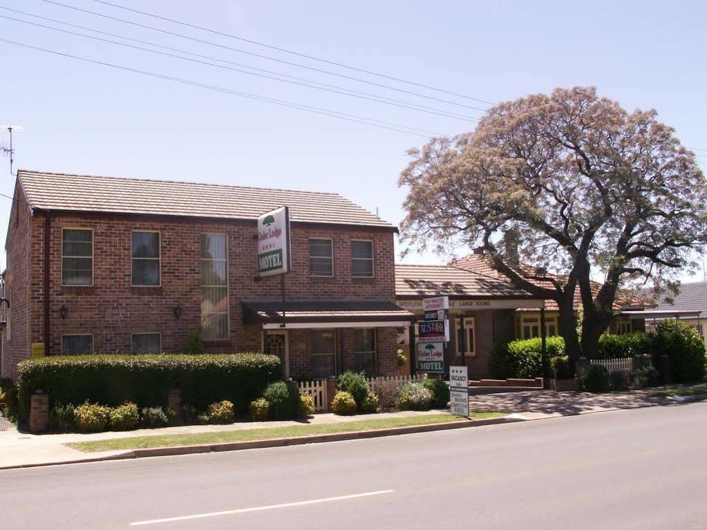 Cedar Lodge Motel Armidale Exterior foto